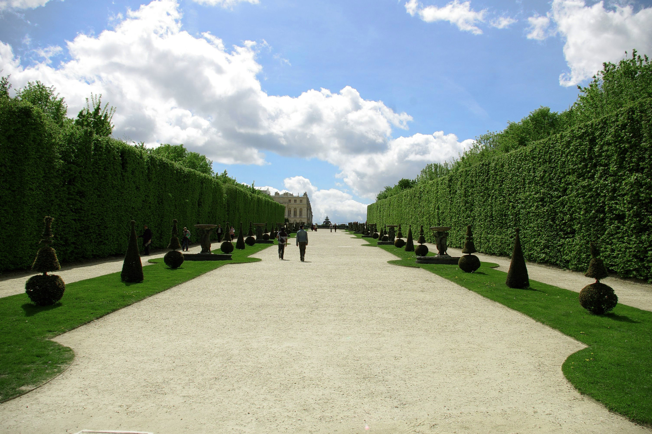 bind_photo_071.jpg